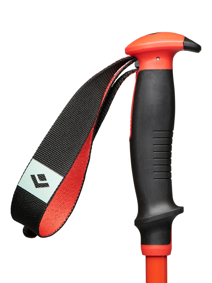 Traverse Ski Poles - Past Season