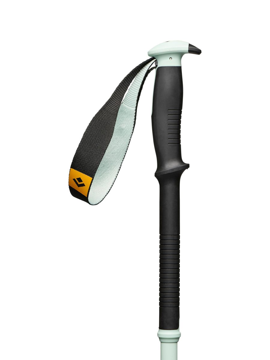 Traverse Pro Ski Poles