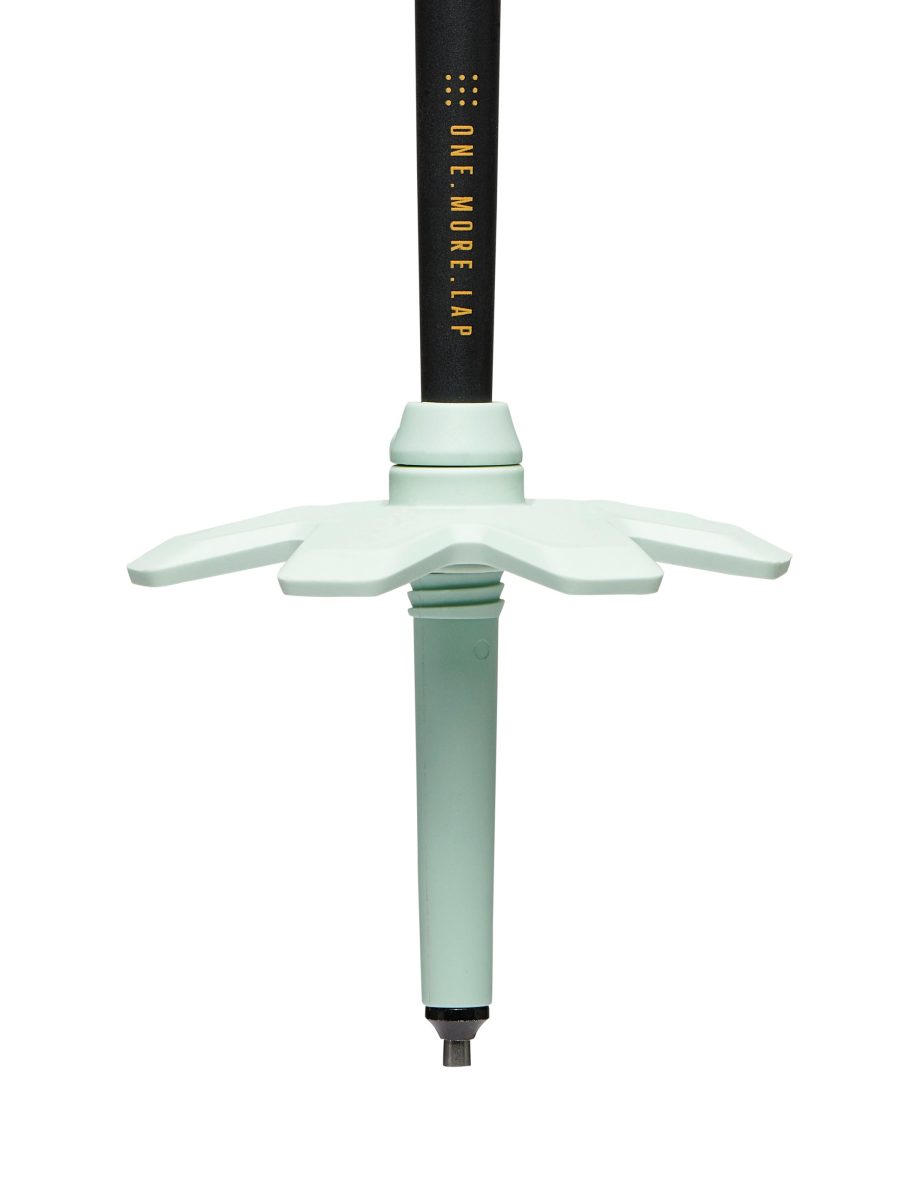 Traverse Pro Ski Poles