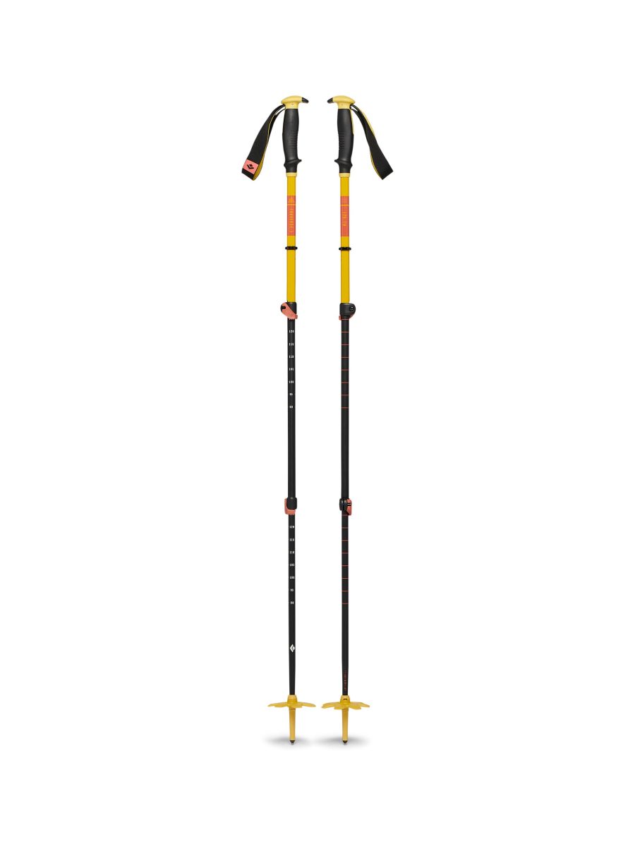 Traverse 3 Ski Poles