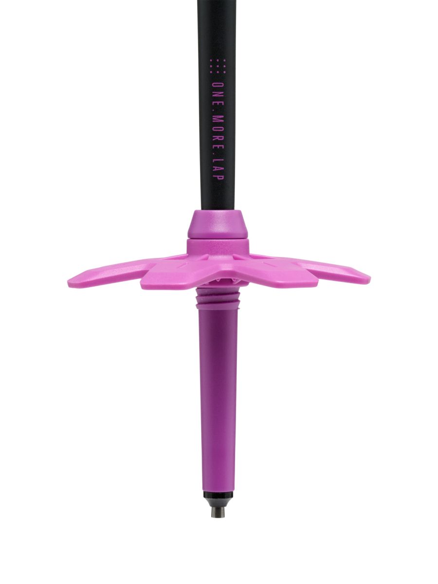Expedition Ski Poles