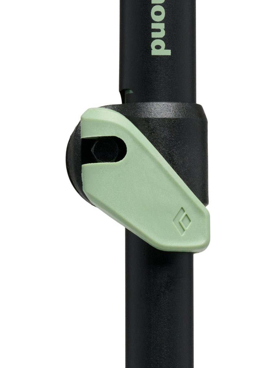 Expedition 3 Ski Poles