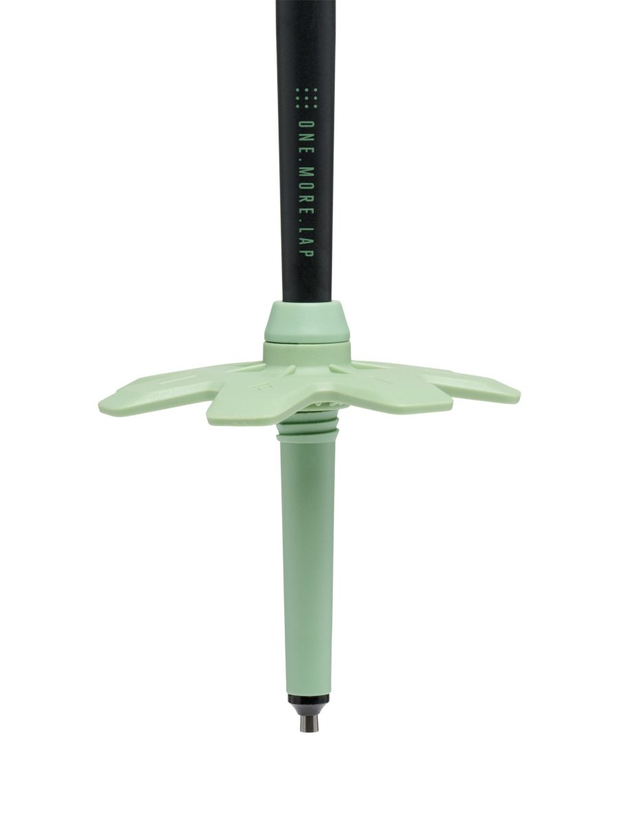 Expedition 3 Ski Poles