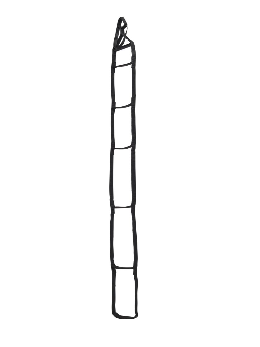 StepUp 6 Ladder