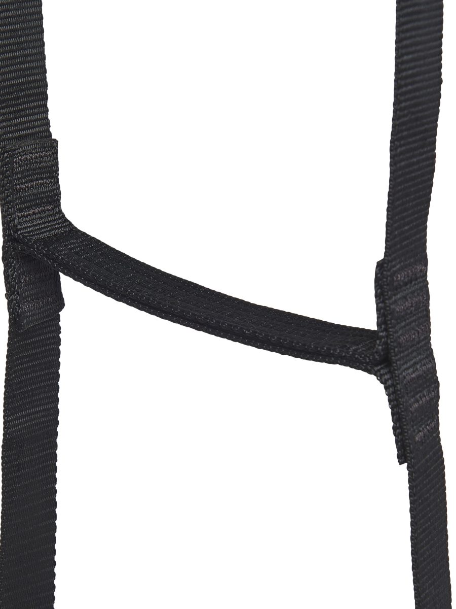 StepUp 6 Ladder