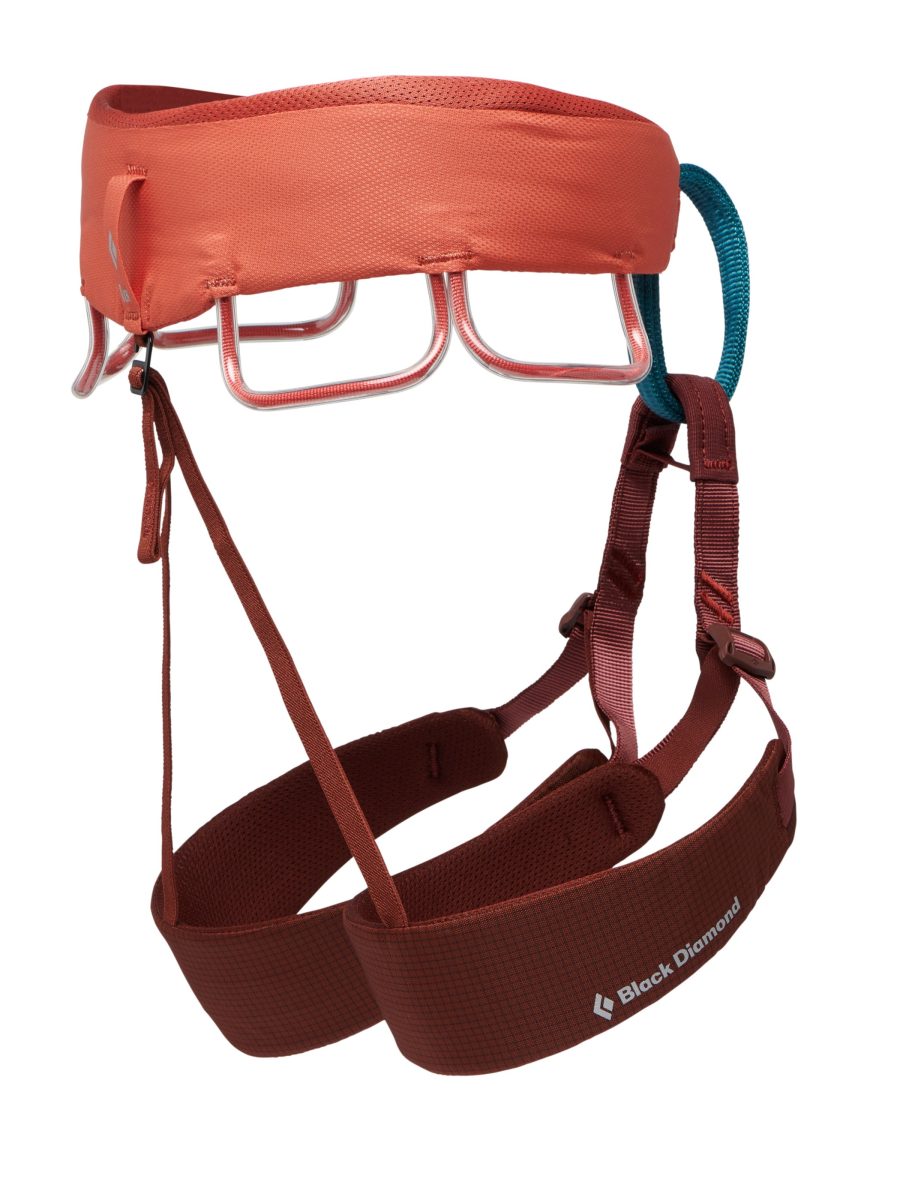 Women's Momentum Harness