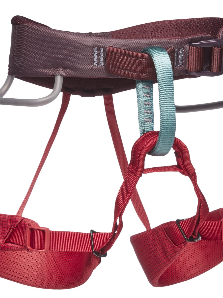 Kids' Momentum Harness