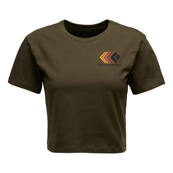 XL